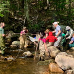 Trout in the classroom